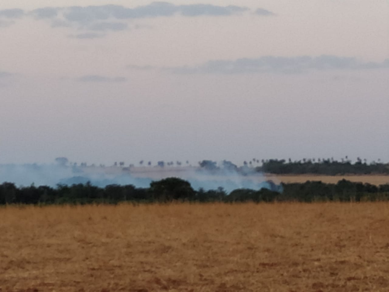 (Foto: Divulgação / Bombeiros)