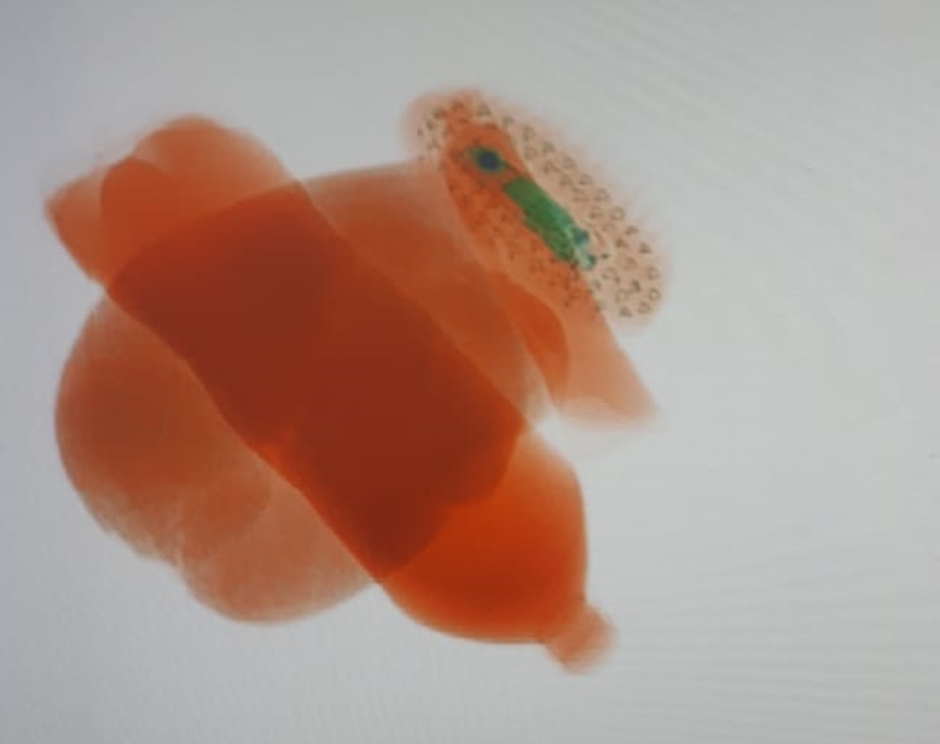 (Foto: Divulgação / DGAP)