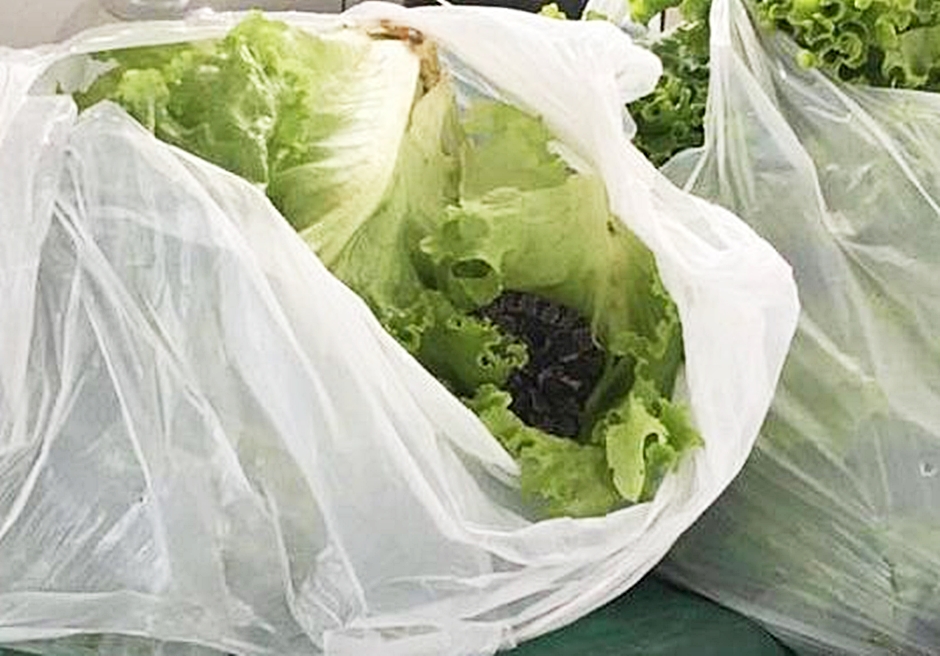 Segundo os Bombeiros, cobra dormia quando foi encontrada por moradora; corporação alerta a população (Foto: Divulgação / Bombeiros)