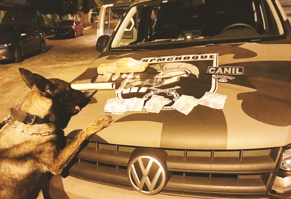 Cães da PM farejam 2 kg de cocaína no setor João Braz, em Goiânia