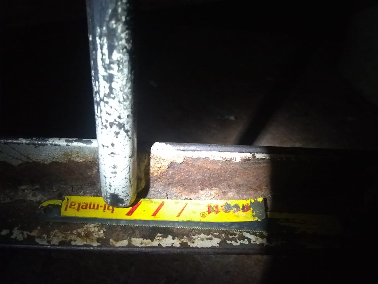 (Foto: Divulgação/DGAP)