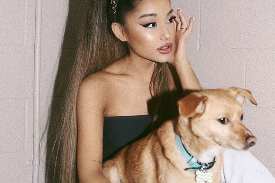 Ariana Grande fretou jatinho particular para levar seus cachorros para a Irlanda