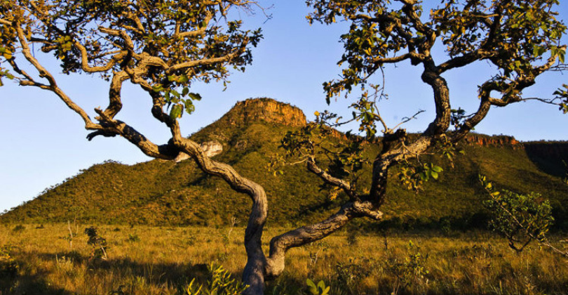 Ministério cria projeto para monitorar mudança climática no país
