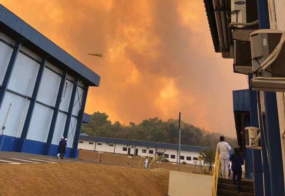 frigorifico minerva fogo palmeiras de goiás