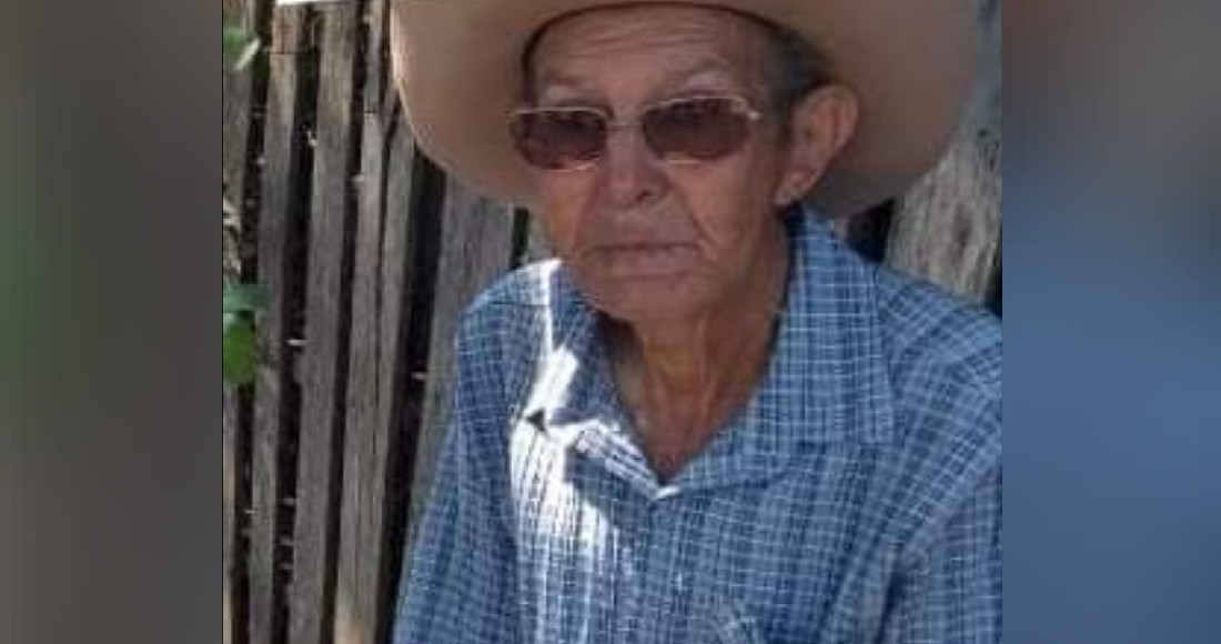 Idoso morre após ser atacado por mais de 1 mil abelhas, em Três Ranchos