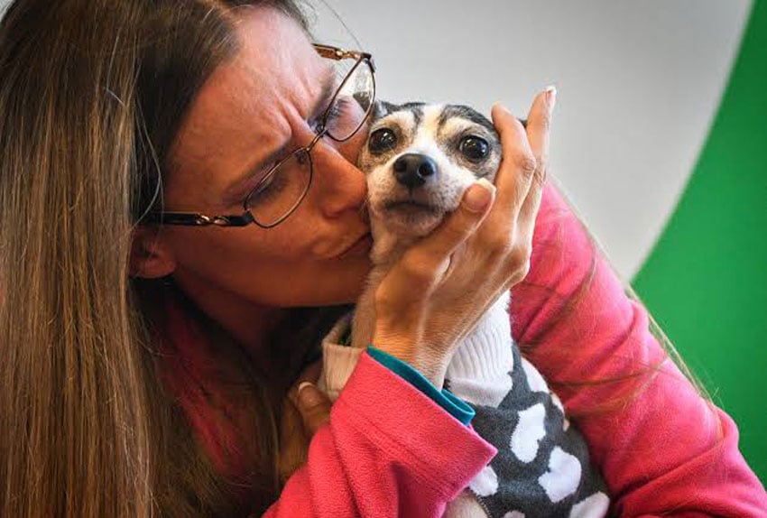 Elas tinham se visto pela última vez em fevereiro de 2007, quando o animal, então com dois anos, fugiu de casa, em Orlando. (Foto: Reprodução)