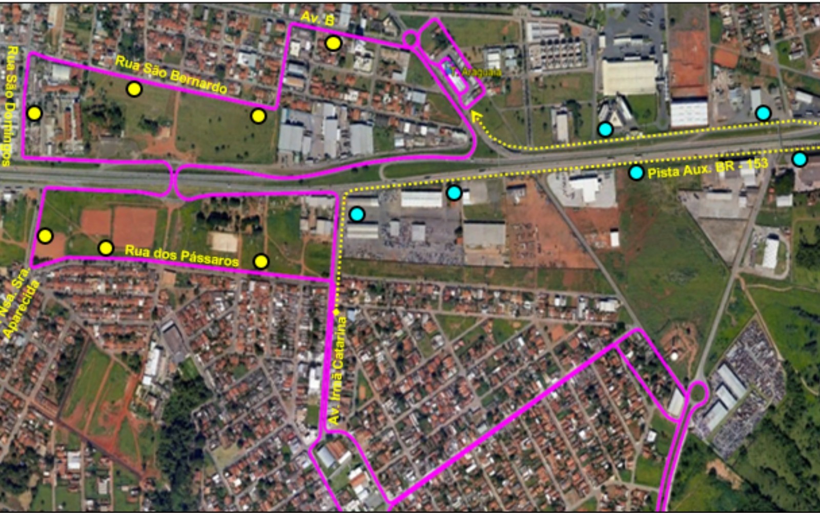 Onze linhas de ônibus são alteradas em Goiânia; confira as mudanças 4