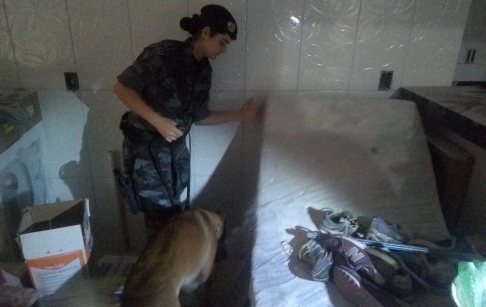 Um cão farejador da PM encontrou maconha e dinheiro na casa dos abordados