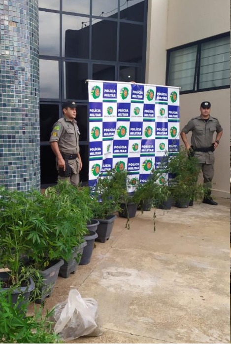 Idoso é preso com armas e pés de maconha, em Pirenópolis