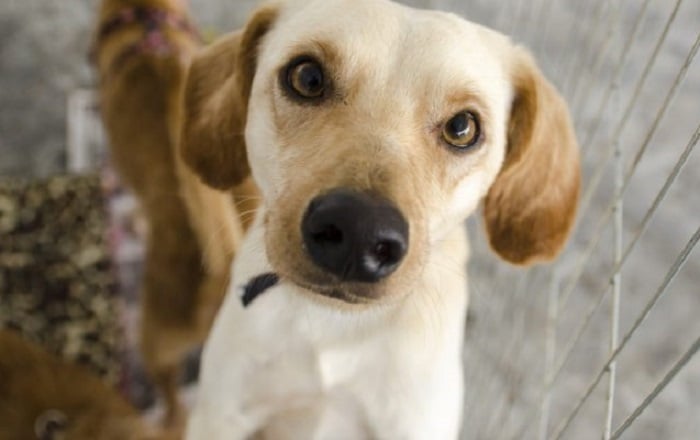 (Foto: Reprodução)