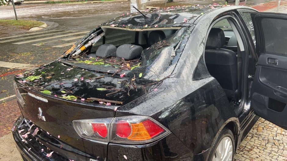 Árvore cai em cima de carro em movimento no Setor Marista, em Goiânia