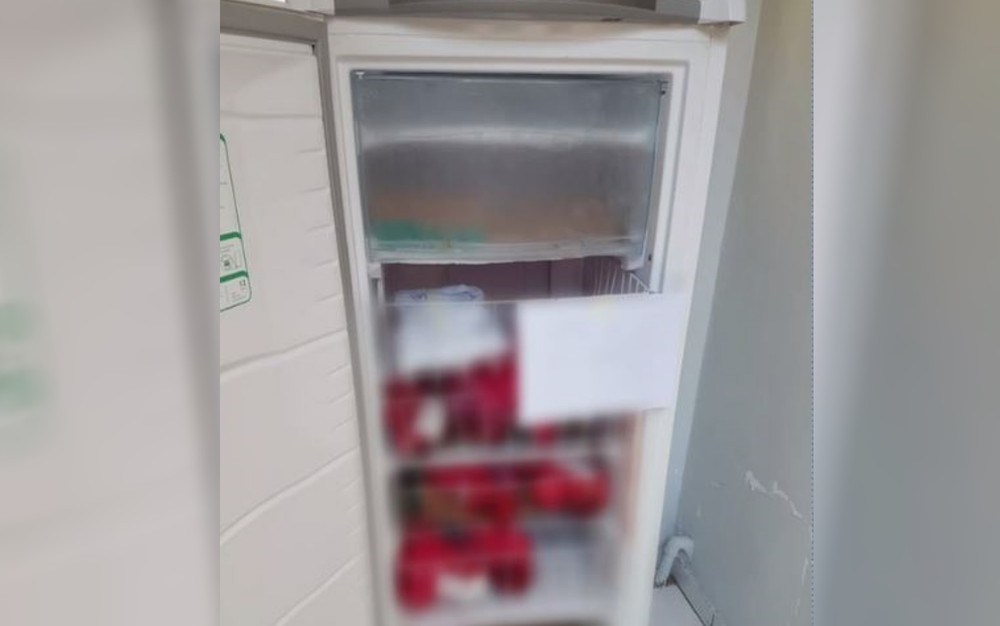 O bebê que morreu na Maternidade Marlene Teixeira, em Aparecida, e ficou desaparecido por três dias foi enterrado no final da tarde desta segunda-feira (28). Corpo do recém-nascido ficou em uma geladeira juntamente com placentas. (Foto: Reprodução/TV Anhanguera) 