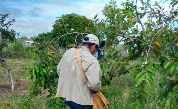 MP-GO recomenda suspensão de contratos de ACEs que não prestaram concurso