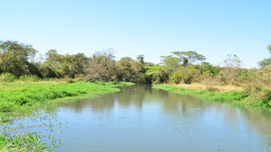 Rio Meia Ponte. (Foto: Divulgação / Governo do Estado de Goiás)