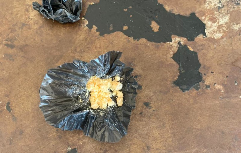 (Foto: Divulgação / DGAP)