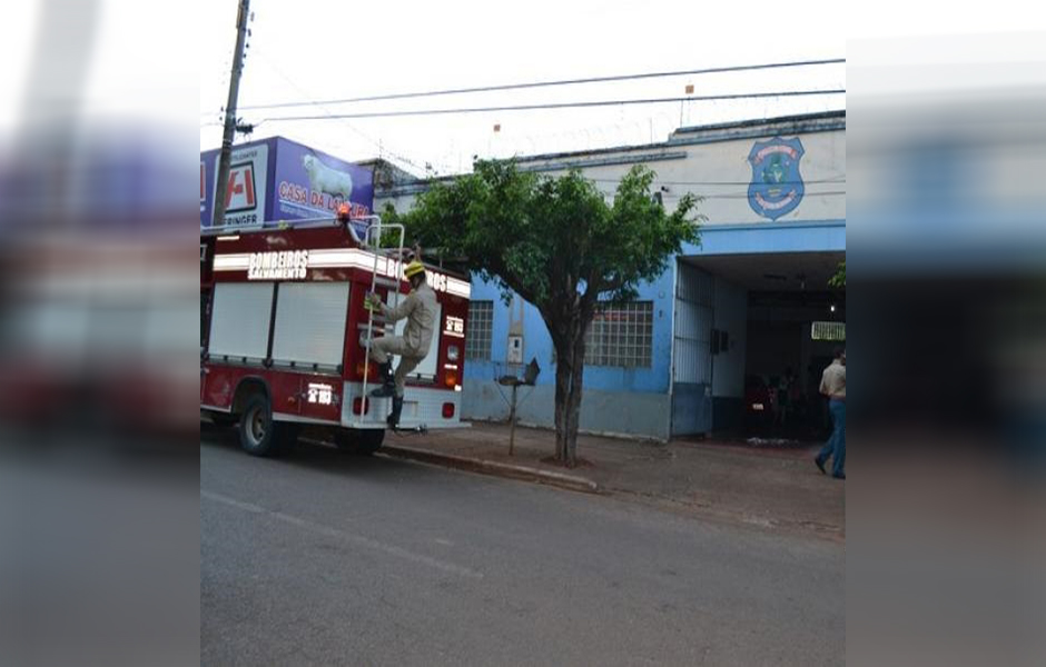 Uma médica foi pega ao planejar um falso sequestro e roubo, em Ceres. O objetivo, segundo a Polícia Civil (PC), era dar um golpe na seguradora. (Foto: Reprodução/Internet)