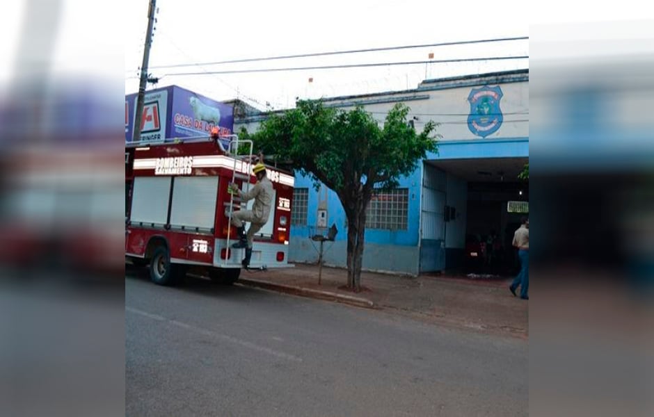 Uma médica foi pega ao planejar um falso sequestro e roubo, em Ceres. O objetivo, segundo a Polícia Civil (PC), era dar um golpe na seguradora. (Foto: Reprodução/Internet)