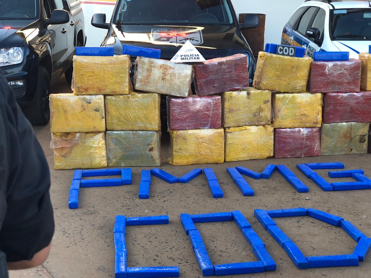 Homem confessa que ganharia R$ 2 mil por transporte de droga entre GO e MG