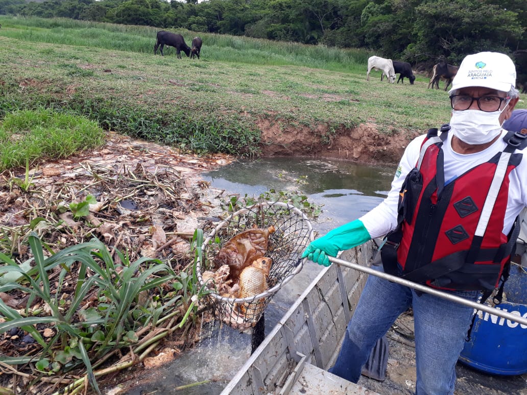 Operação retira cinco toneladas de peixes mortos do Meia Ponte