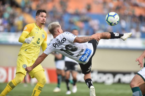 Foto: Ivan Storti/Santos FC