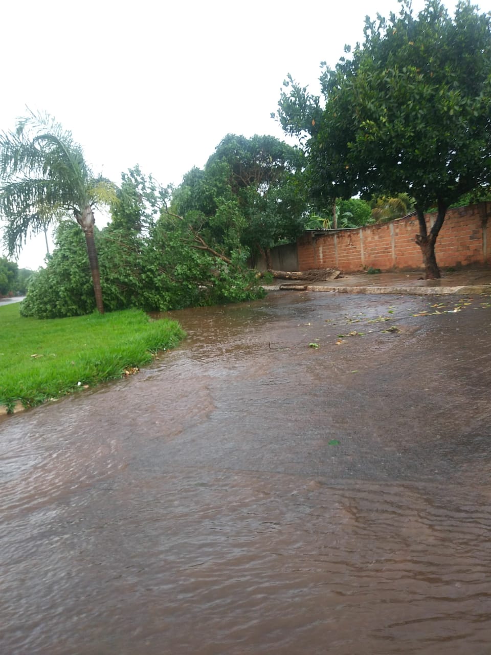 Forte chuva destelha casas e causa prejuízos a moradores de Buriti de Goiás (Foto: Leitor/Mais Goiás)