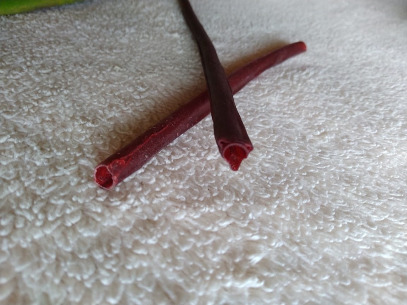 Alunos de colégio estadual criam canudo de pasta de banana e ganham feira, em Catalão