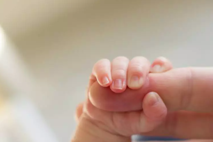 Bosque dos Anjos será espaço para pais que perderam filhos de forma prematura