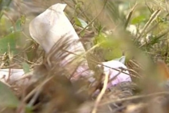 Segundo o jornal taiwanês SETN, apenas restos mortais do recém-nascido foram encontrados. A mãe foi detida pela polícia