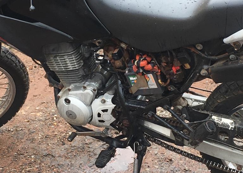 Cobra coral é encontrada em motor de moto, em Jaraguá