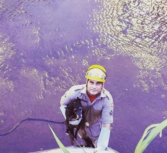 Cachorro é resgatado após cair no córrego da Marginal Botafogo, em Goiânia