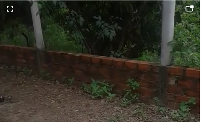 Homem confessa ter matado e carbonizado corpo de amante, em Campos Verdes