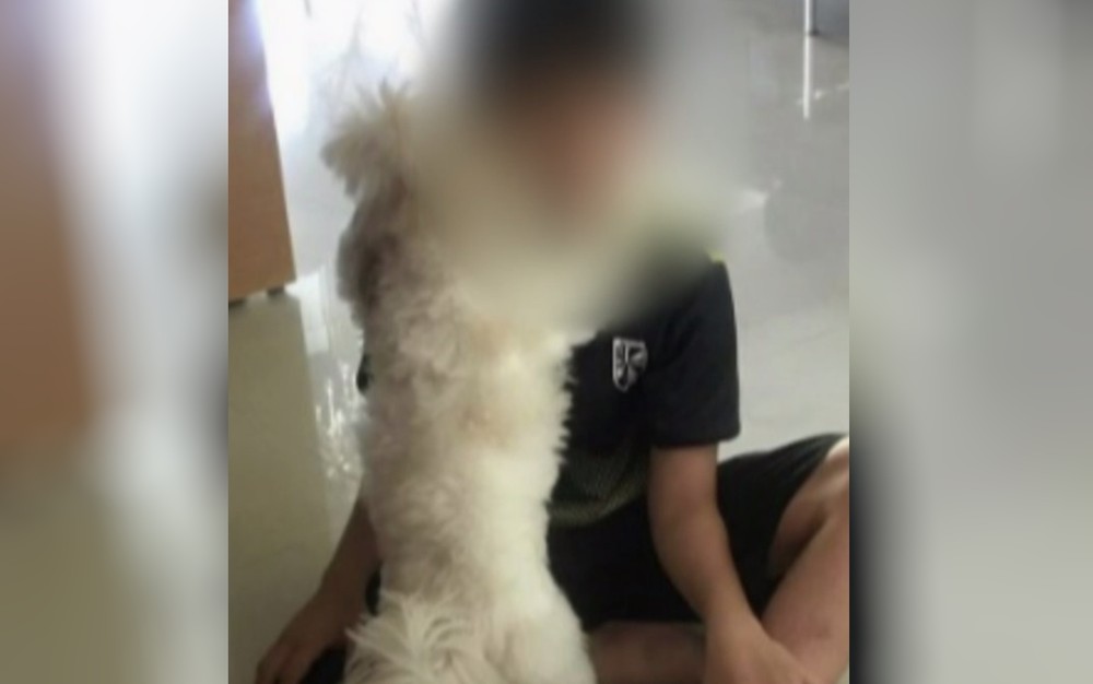 Meningite ainda não foi confirmada como causa da morte do menino; SMS reforça: "não há surto" (Foto: reprodução/TV Anhanguera)