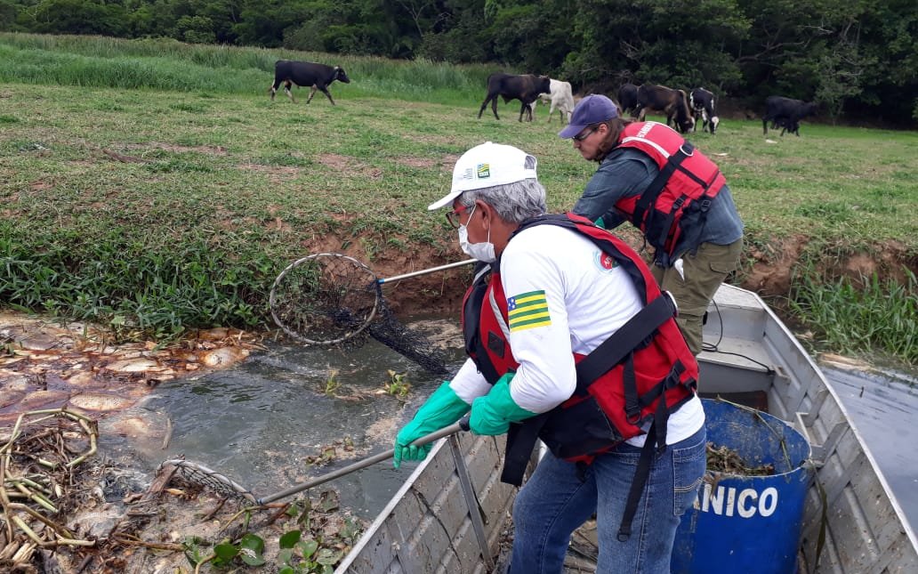 A ação foi dificultada pela grande presença de plantas aquáticas e lixo no local.