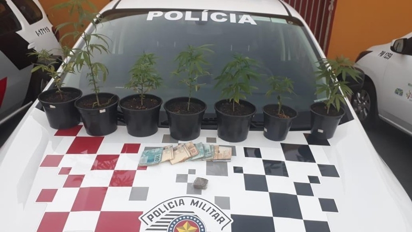 Jovem é presa após colocar pés de maconha para tomar sol em janela, em SP