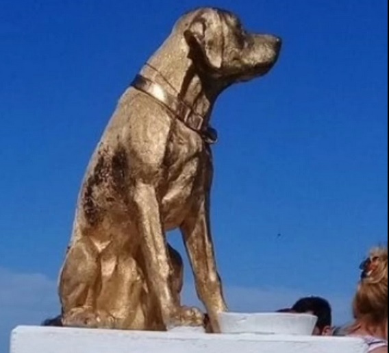 A morte causou reações, e um movimento nas redes sociais pediu Justiça para Rubio.