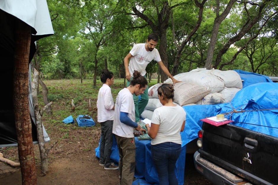 sementes nativas do Cerrado serão plantadas, como capim-andropogon-nativo, capim rabo-de-burro, amargoso, fedegosão, cajuí, maria-preta e mirindiba (Foto: Luana Santa Brígida/Divulgação)