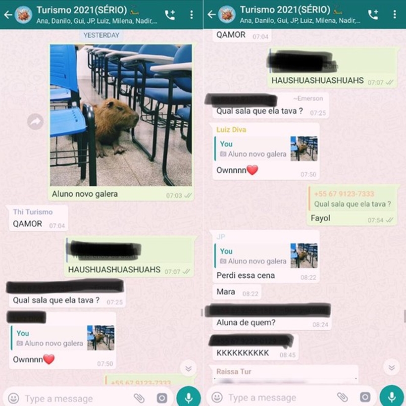 Capivara entra em sala de universidade e foto viraliza na web, em MS