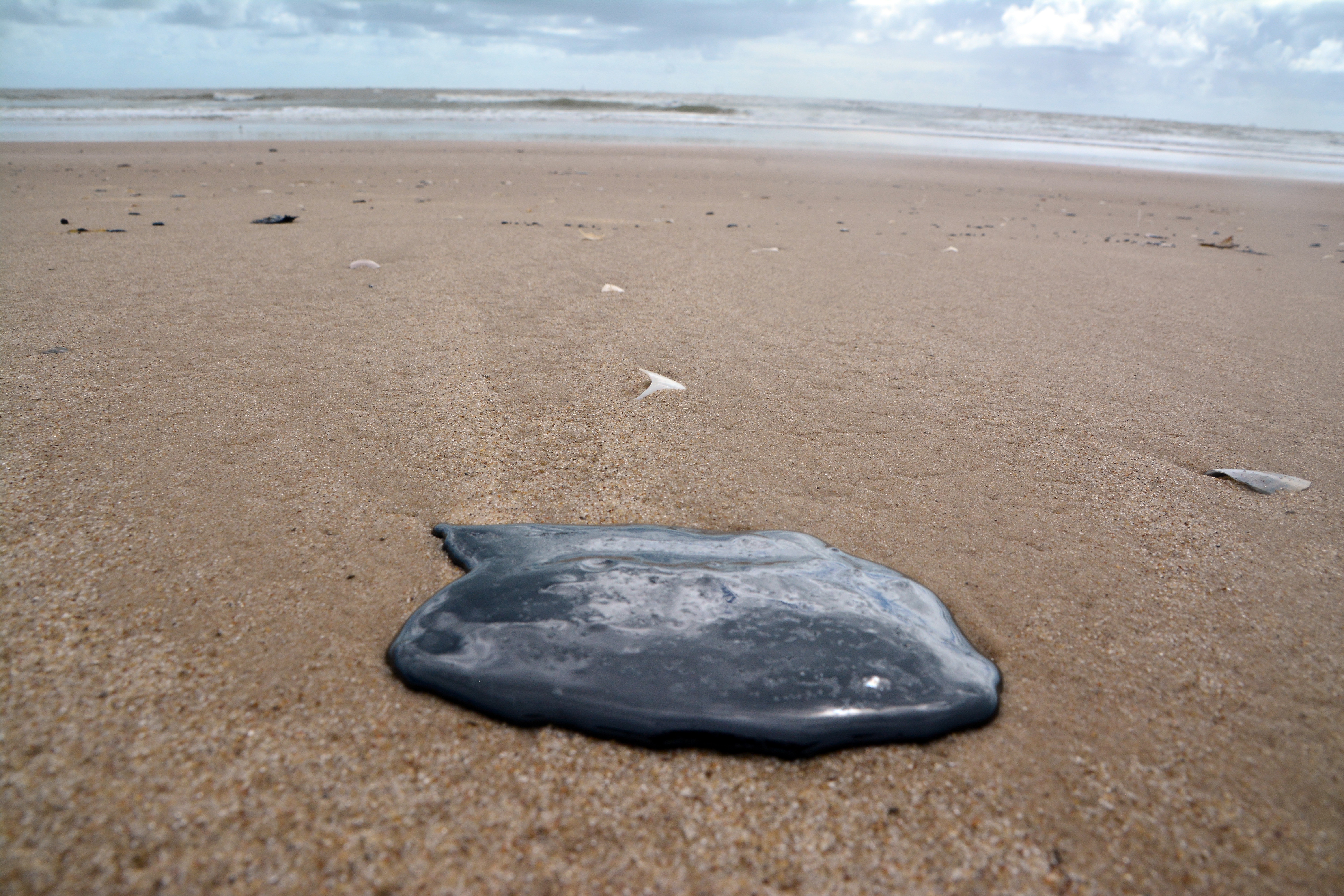 Manchas de óleo atingem a praia da Coroa do Meio, em Aracaju. (Foto: Márcio Garcez/Folhapress)