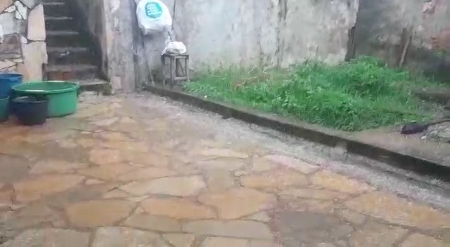 Forte chuva atinge Anápolis e derruba árvore na BR-414