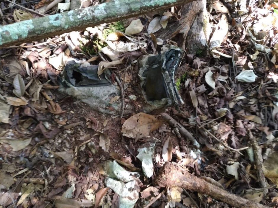 Ossada humana é encontrada em zona rural de Aurilândia