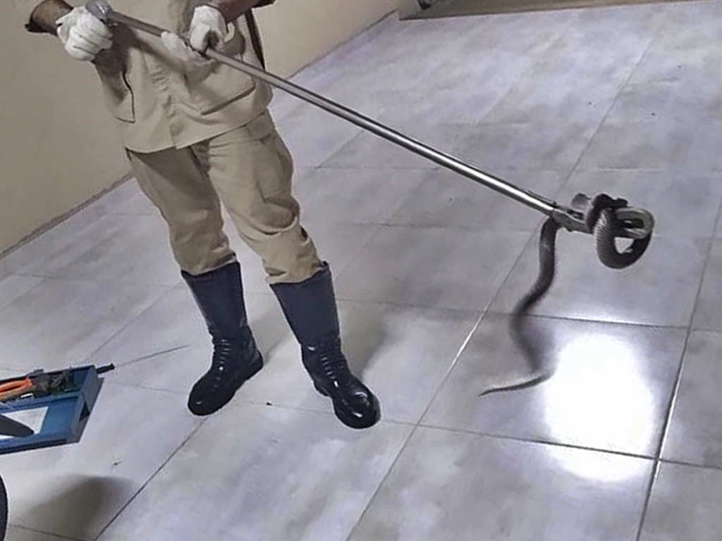 (Foto: Divulgação / Bombeiros)