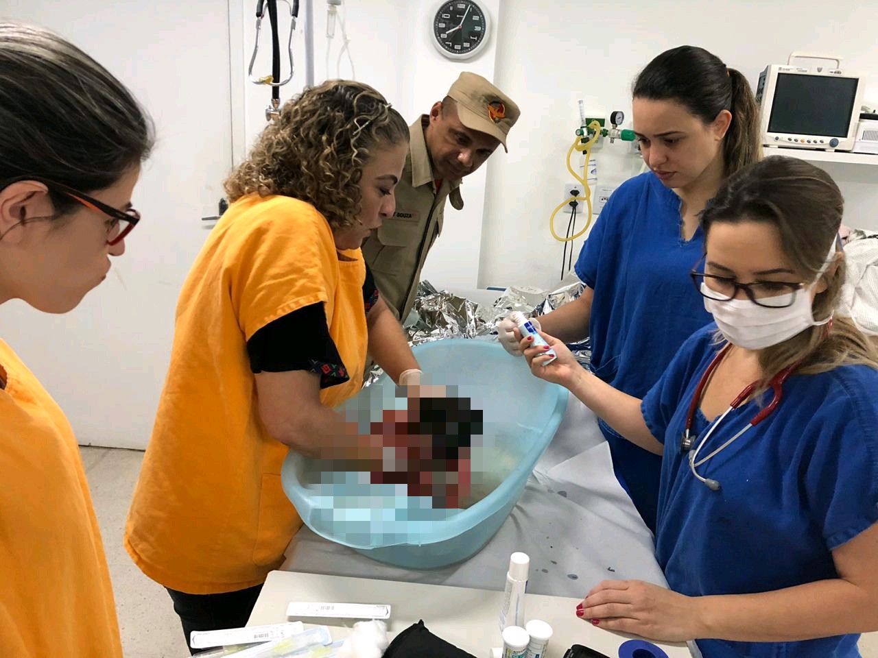 Resgate foi efetuado pelo Corpo de Bombeiros (Foto: divulgação/Bombeiros)