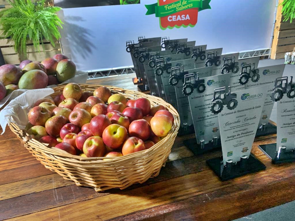 (Foto: Divulgação / Goiás Turismo)