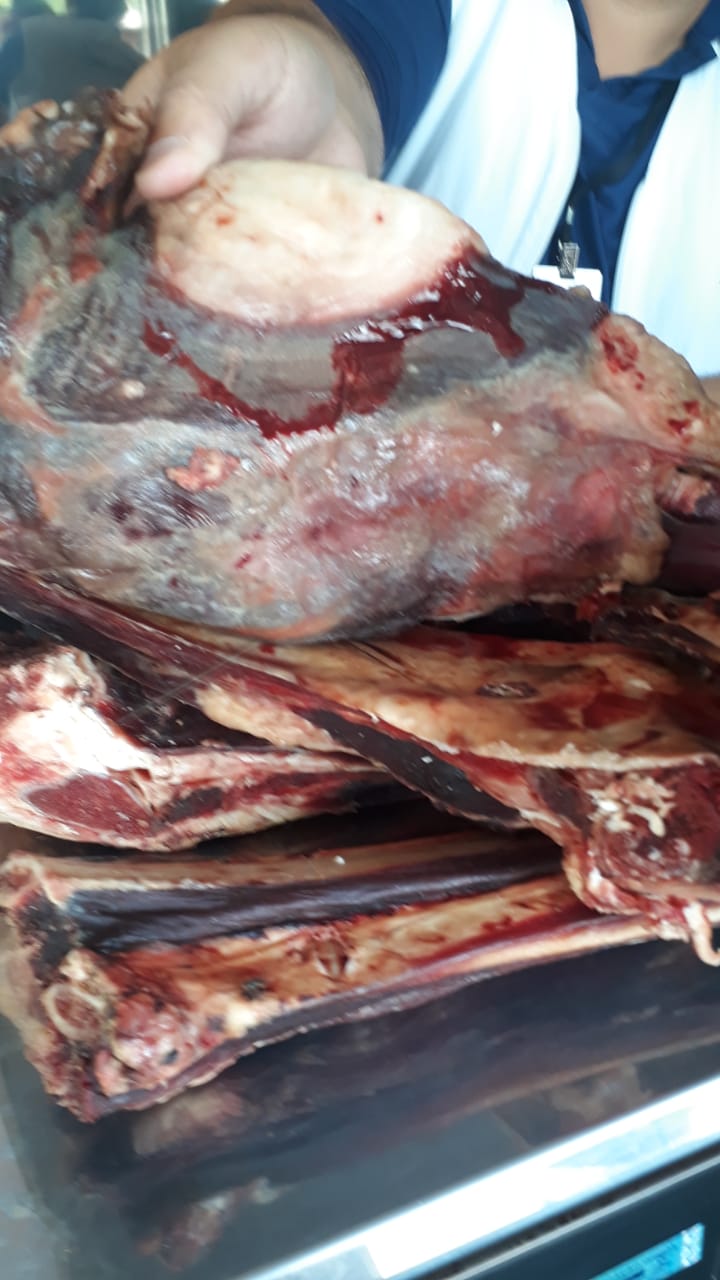 Cerca de 300 quilos de carnes impróprias para consumo são apreendidas, em São Luis dos Montes Belos (Foto: Leitor/Mais Goiás)