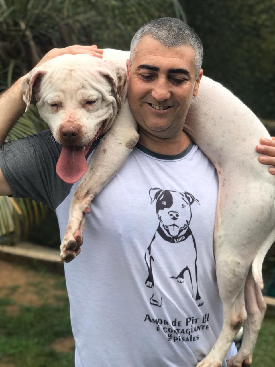 Cães que participavam de rinhas em SP são levados para ONG e recebem cuidados