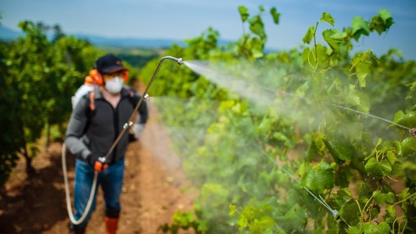 Entenda as mudanças que o chamado PL do Veneno pode causar (Foto: iStock)