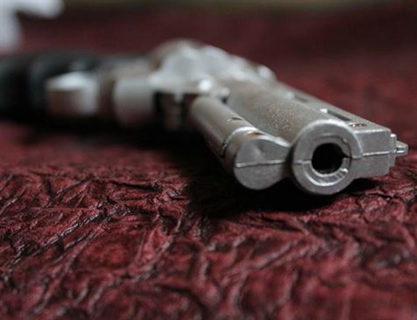 Assembleia aprova isenção de ICMS na aquisição de arma de fogo