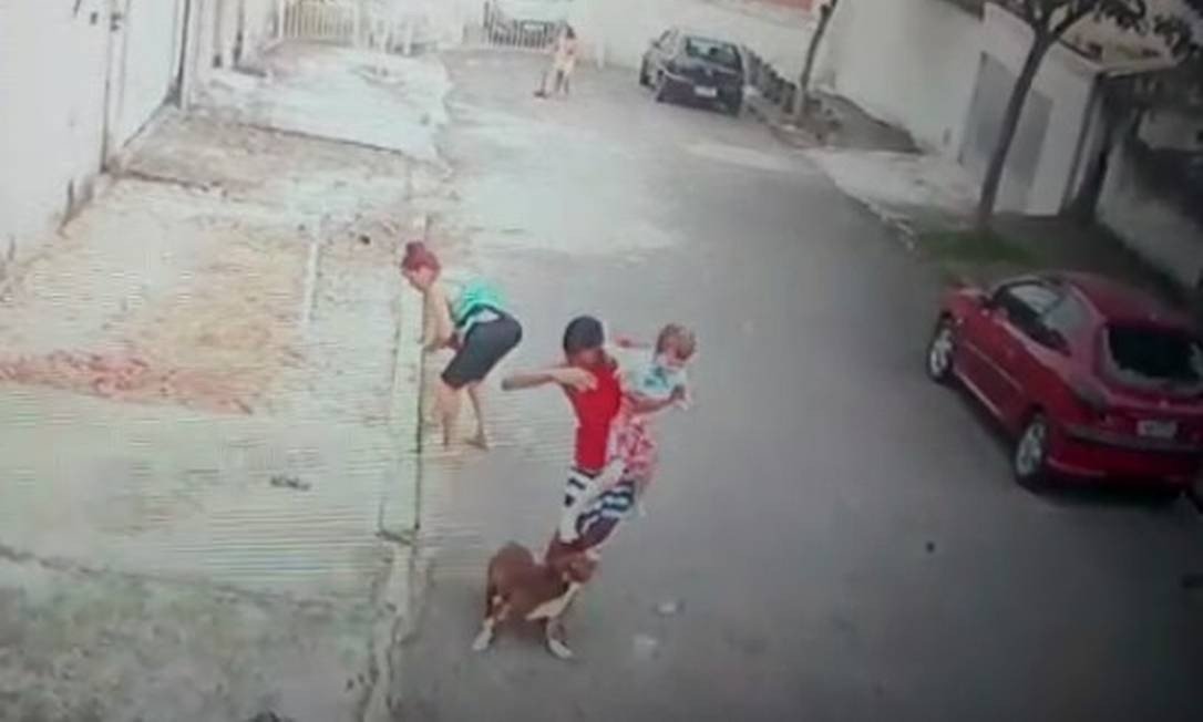 Patrick salvou uma criança de cinco anos do ataque de uma cachorro Foto: Reprodução