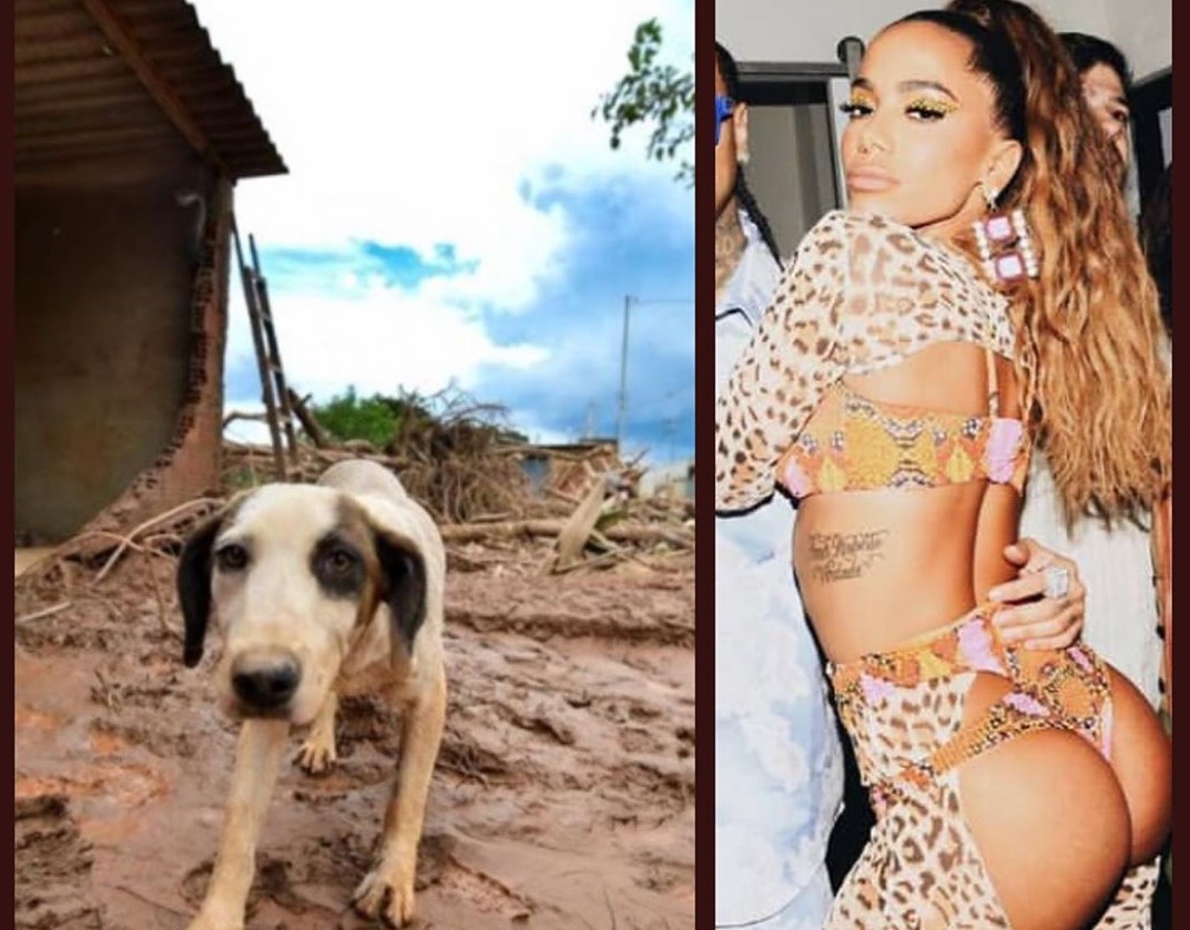 Luisa Mell usa imagem de Anitta para pedir doações: 'me perdoa'