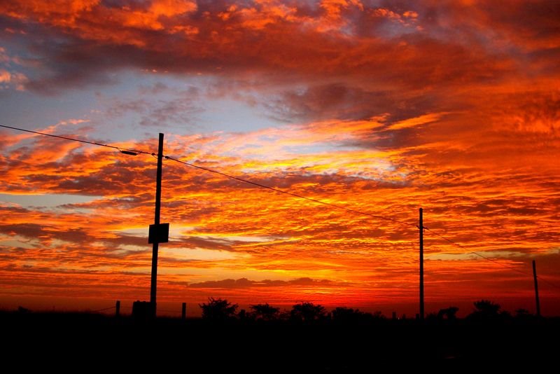 (Foto: Reprodução)